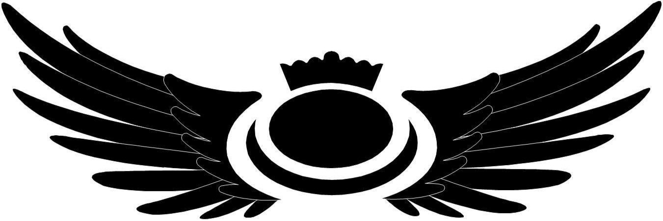 Deeside Thistle CC banner