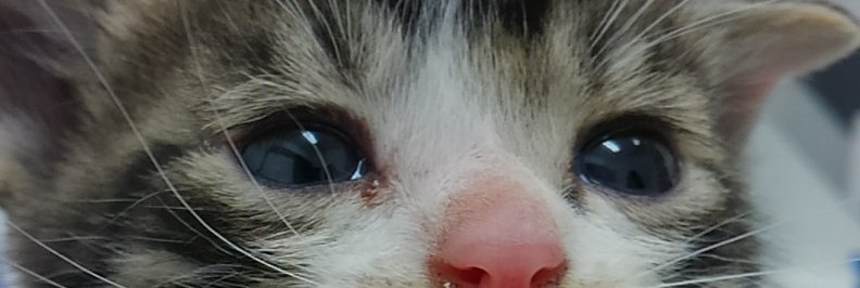 kfkato17's profile banner image