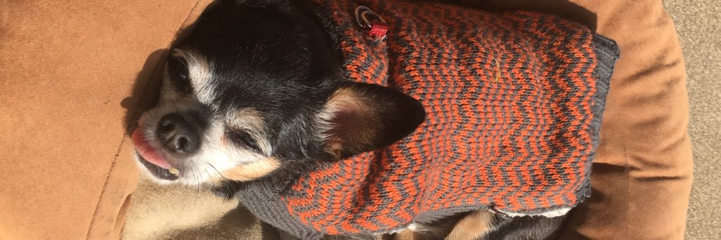 BennyZeoli's profile banner image