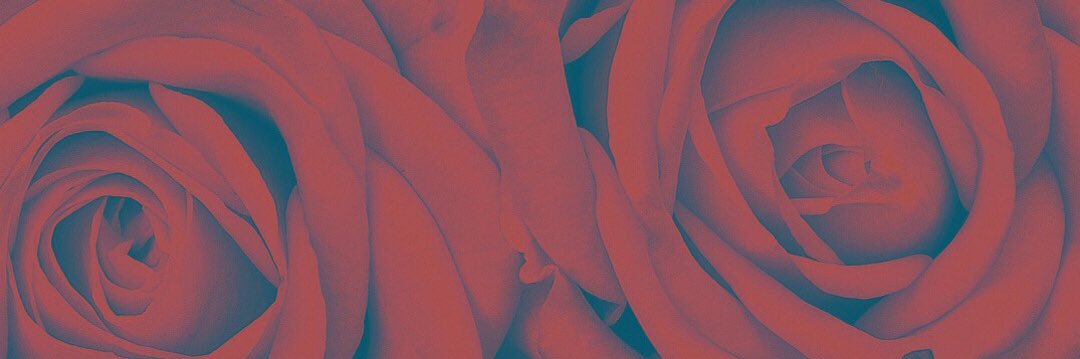 fabiolaah__'s profile banner image