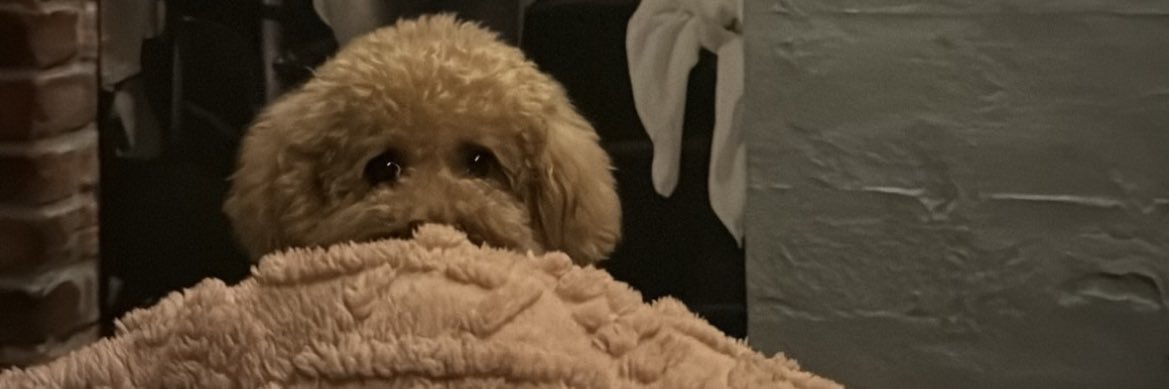 ErNagier's profile banner image