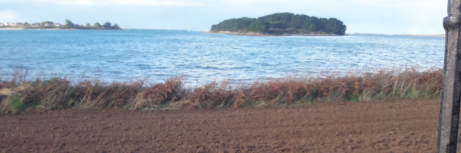 titi BZH's banner