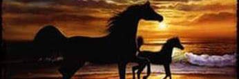 Sarayaso5's profile banner image