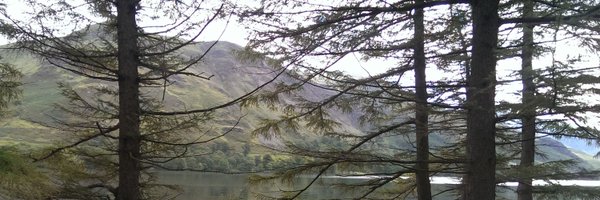 davidwthorpe1 Profile Banner