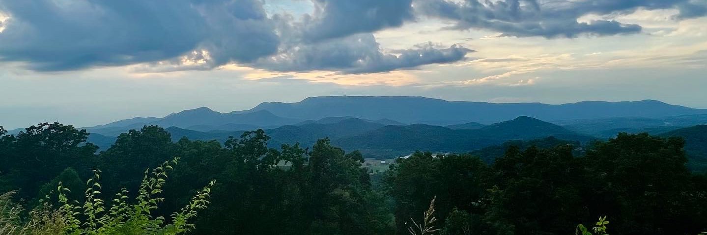 Chanza Shaikh banner