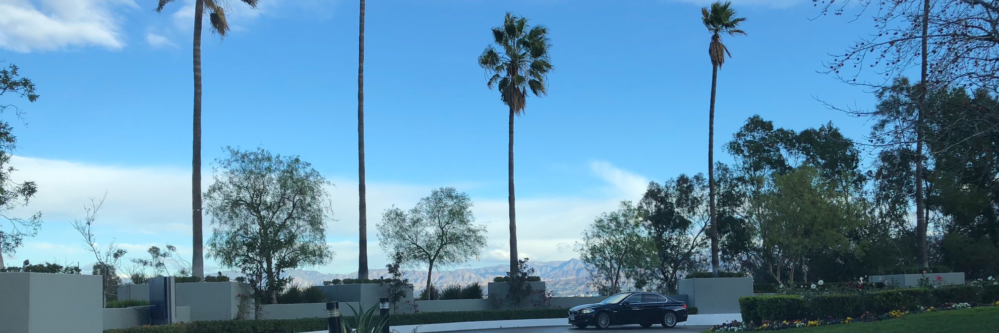 mglrgn's profile banner image