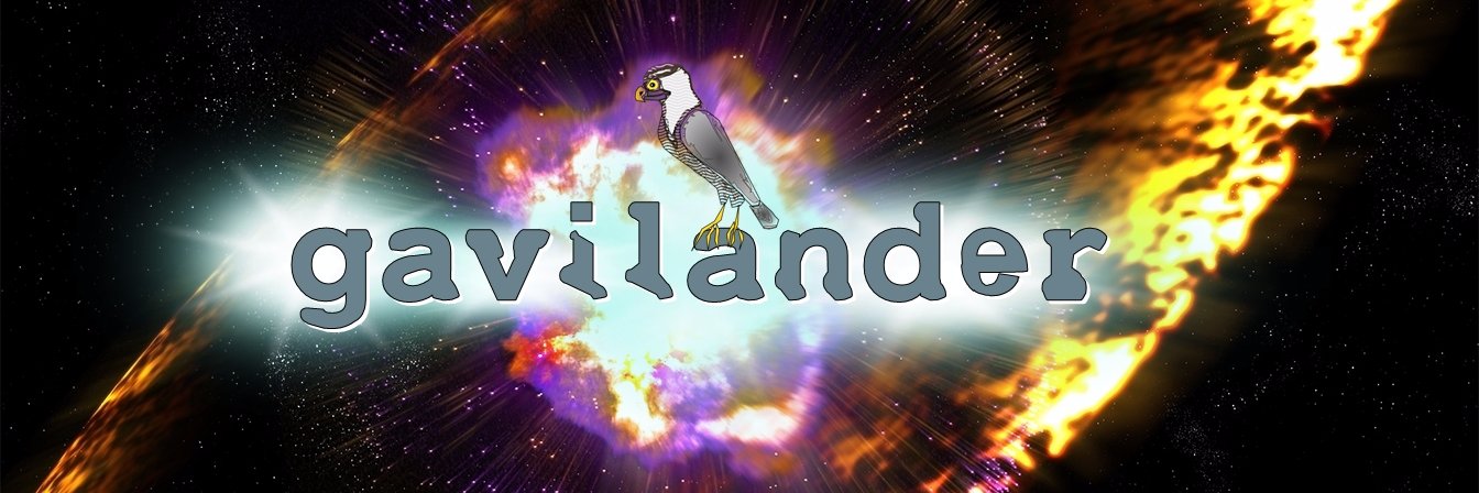 gavilander's profile banner image