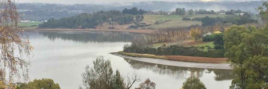 Michael Bailey banner