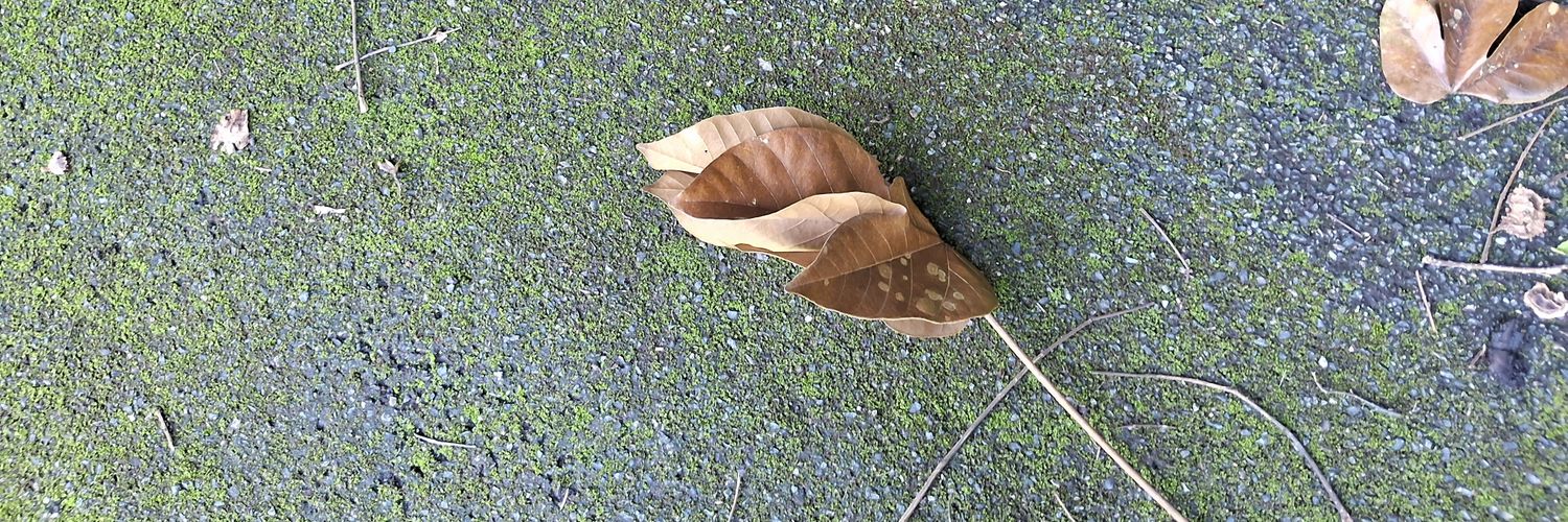 Riamny Méndez Féliz banner