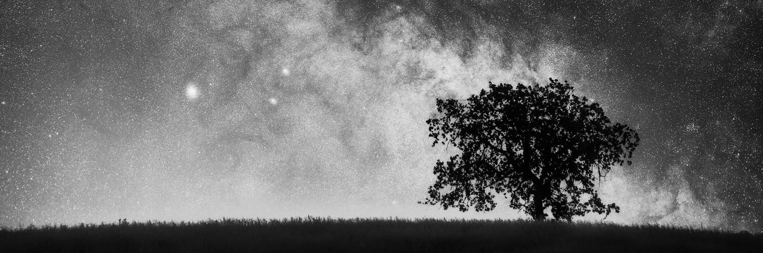 melymnm's profile banner image