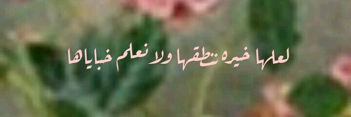 tfi9ell's profile banner image