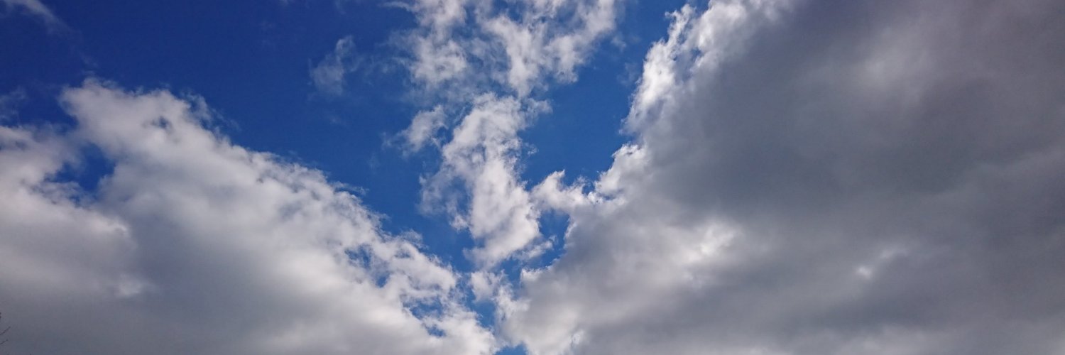 carugugu's profile banner image
