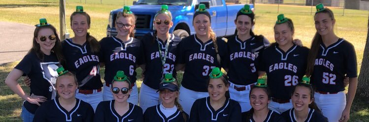 Springstead Softball banner
