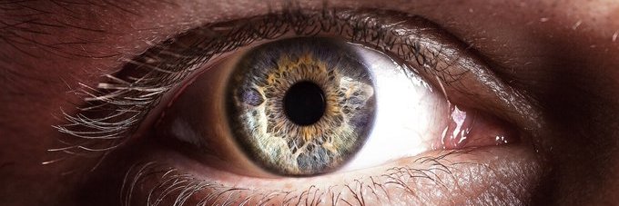 Neal_Suchak's profile banner image