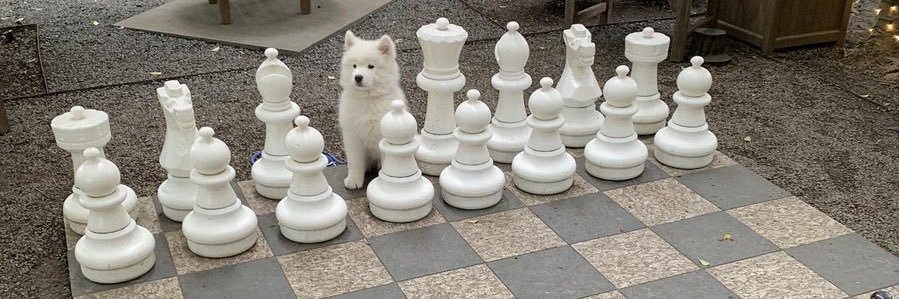 JackPBlaine's profile banner image