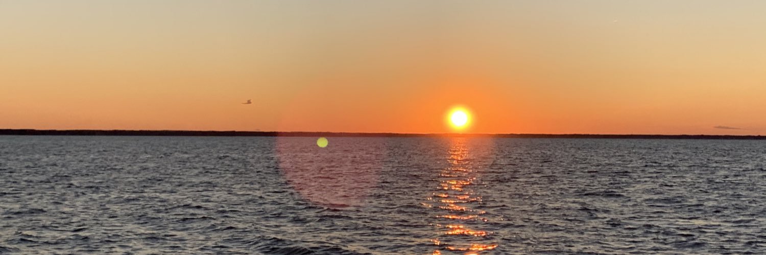 Michellehaljul's profile banner image