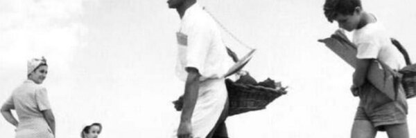 cescverducci Profile Banner