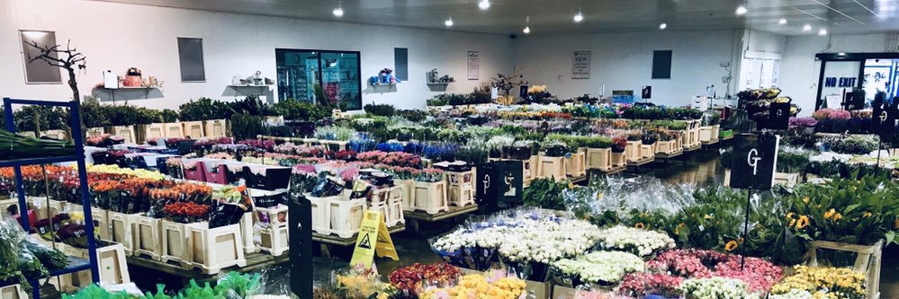 gtflowers's profile banner image