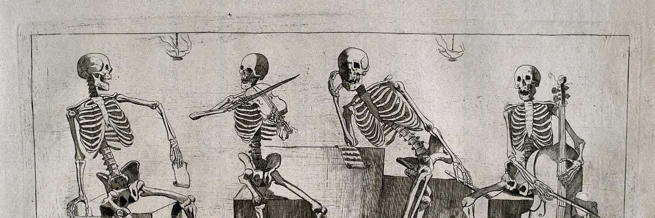 Spooky 💀 banner
