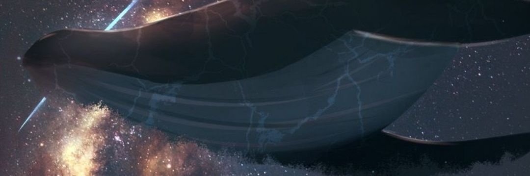 Daranphop17's profile banner image