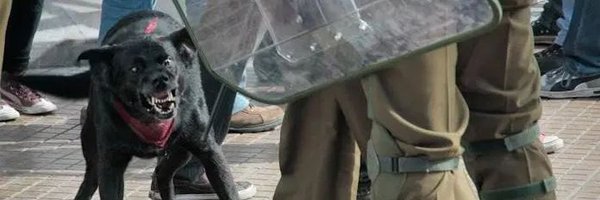 laamaralc Profile Banner