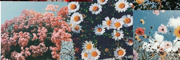 Gyrly21's profile banner image