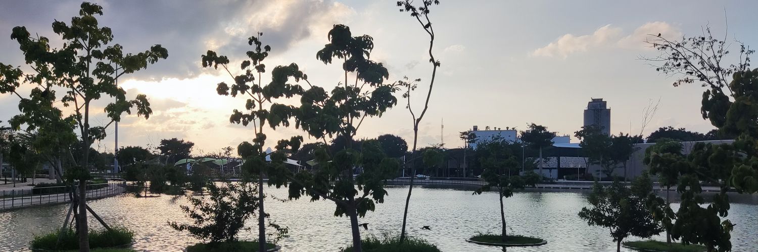 regidemaler's profile banner image