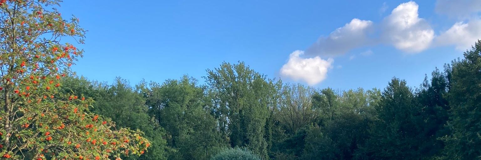 𝕮𝖊𝖑𝖎𝖈𝖎𝖔𝖘𝖆🌸 banner