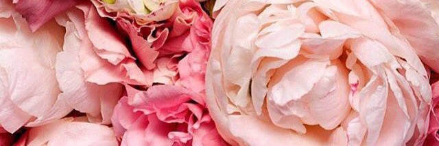 FabssCortes's profile banner image