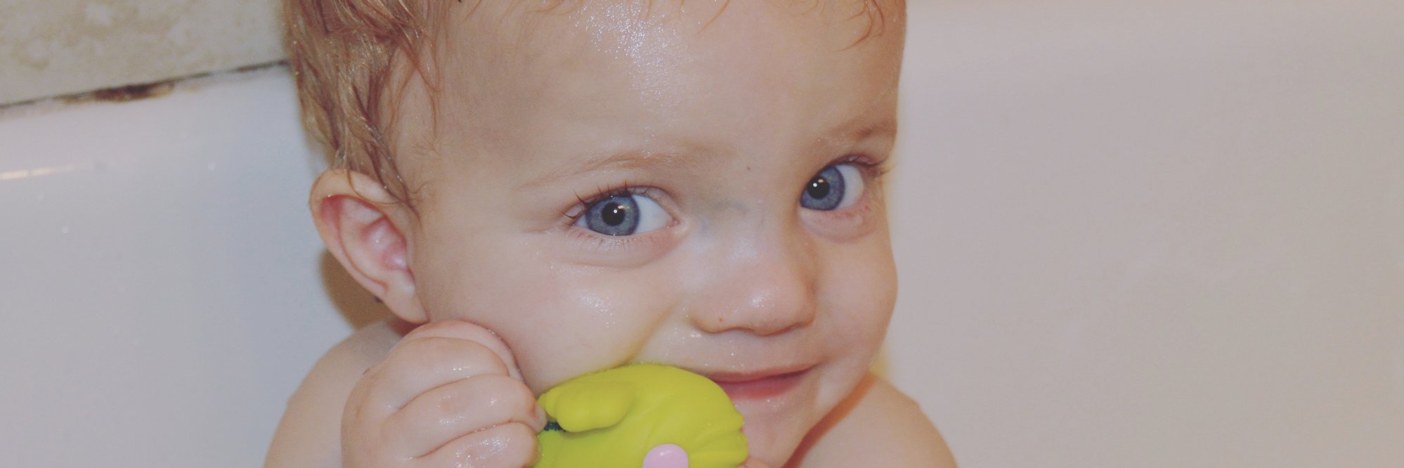 SierraBlakeSugg's profile banner image