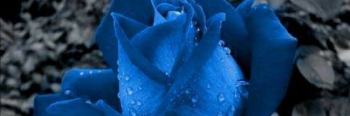 paulus_anthos's profile banner image