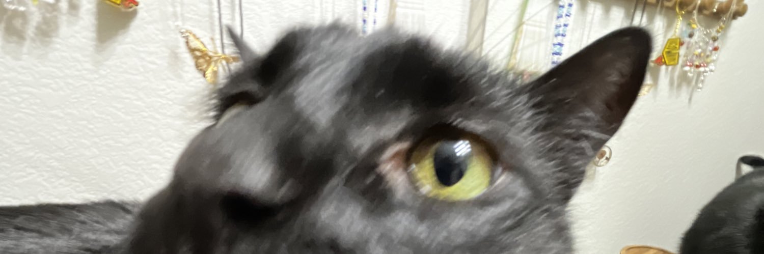 aleddl2's profile banner image