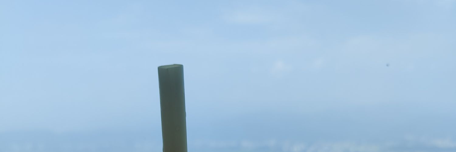 amaaaanm's profile banner image