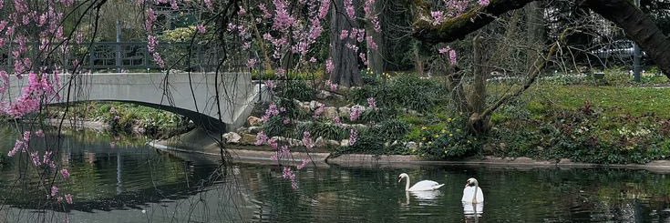 𝚉𝙽𝙰𝙱𝚈‏ 𐙚 banner