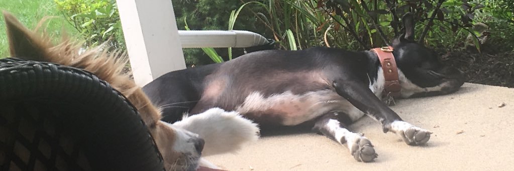 Killergore's profile banner image
