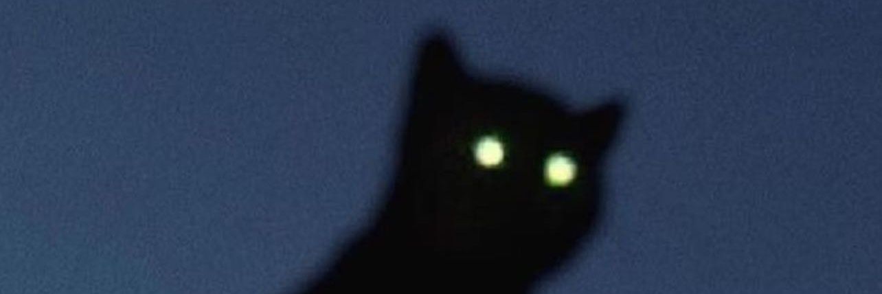 Yerrie Ilhami banner