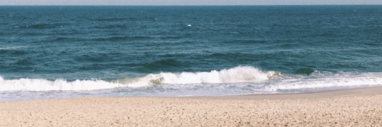 GiuliaCardozo8's profile banner image