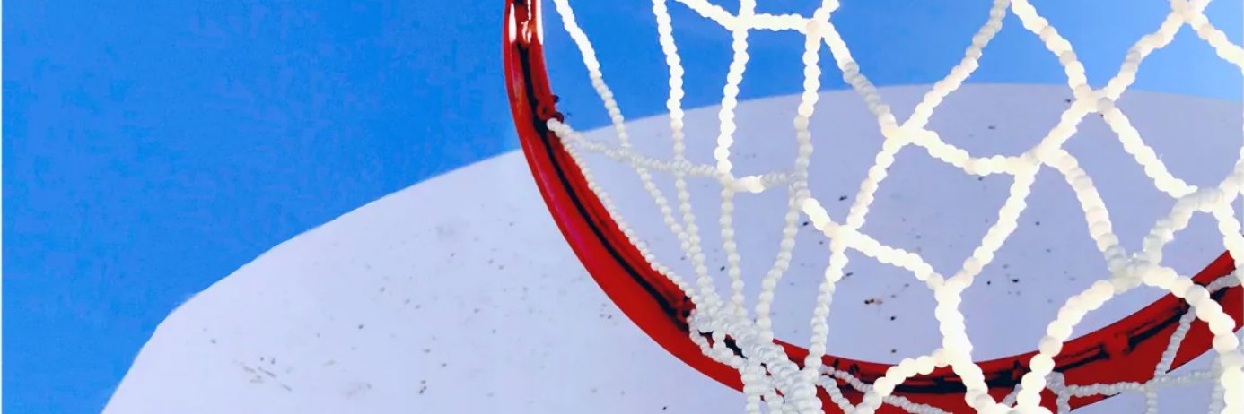 Ashley Docking banner