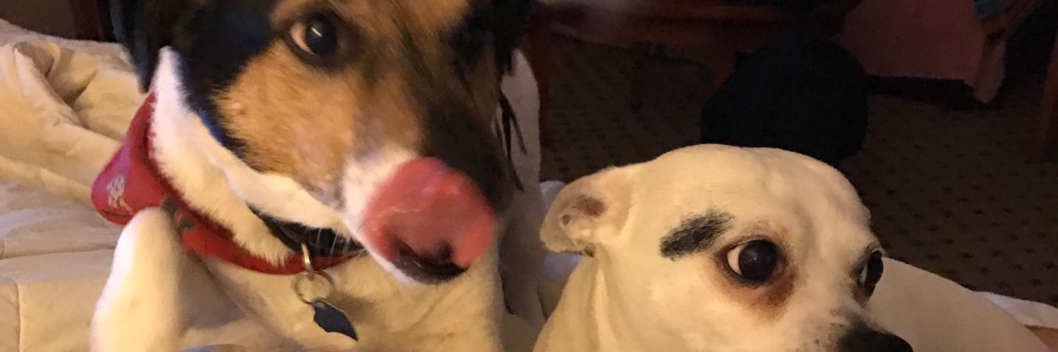 thatsknottfunny's profile banner image