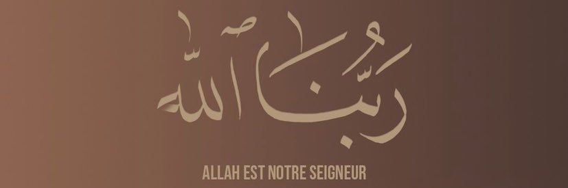 lisaaa_mqs's profile banner image
