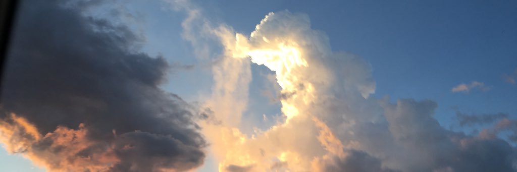 oniontoast's profile banner image