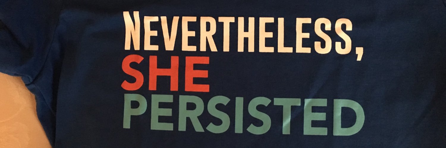 RaisedADem's profile banner image