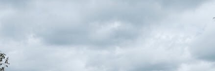 William H. Holla banner