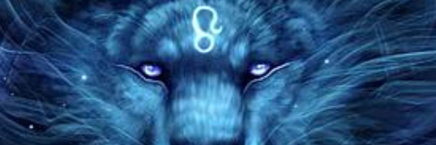 haponesa15's profile banner image