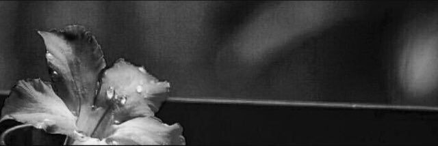 96_100_'s profile banner image