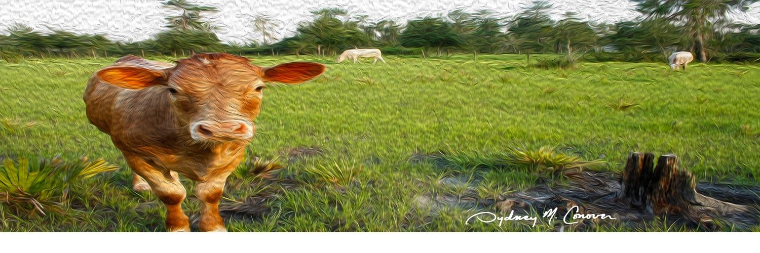 SydSaysWrite's profile banner image