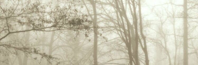 jillanderthal's profile banner image