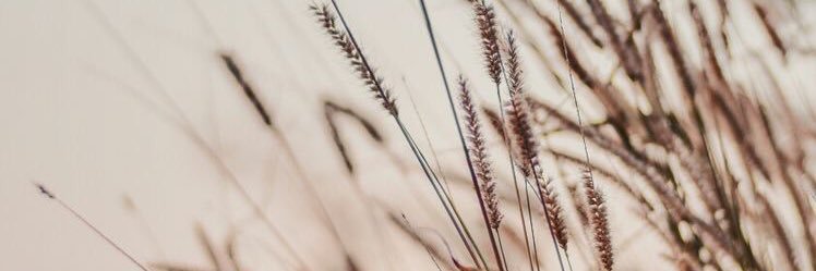 florcasab's profile banner image