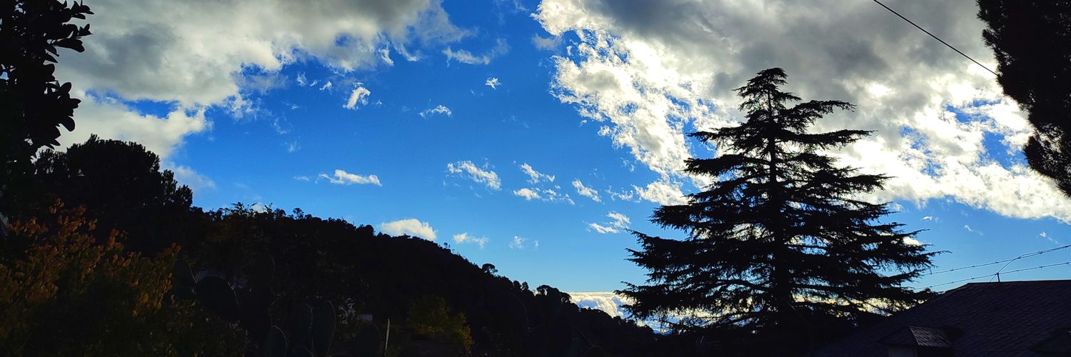 TheRealVanina's profile banner image