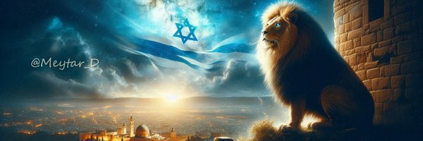 Meytar_D Profile Banner